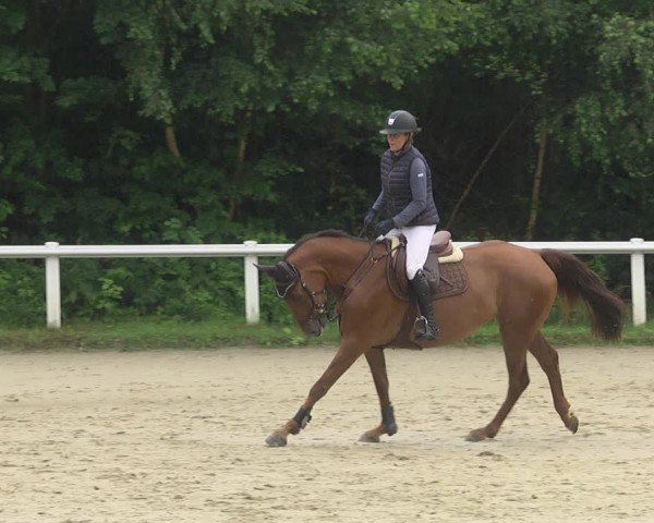 Reitturnier Hünfelden-Kirberg 2021