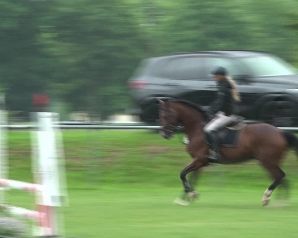 Reitturnier Moringen 2021