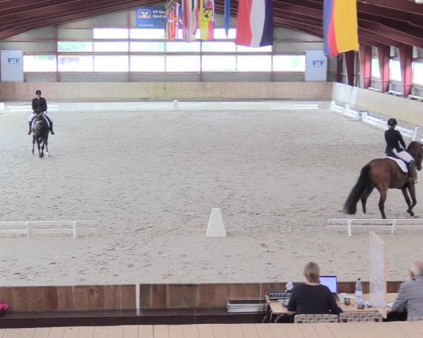 Reitturnier Süderlügum 2021