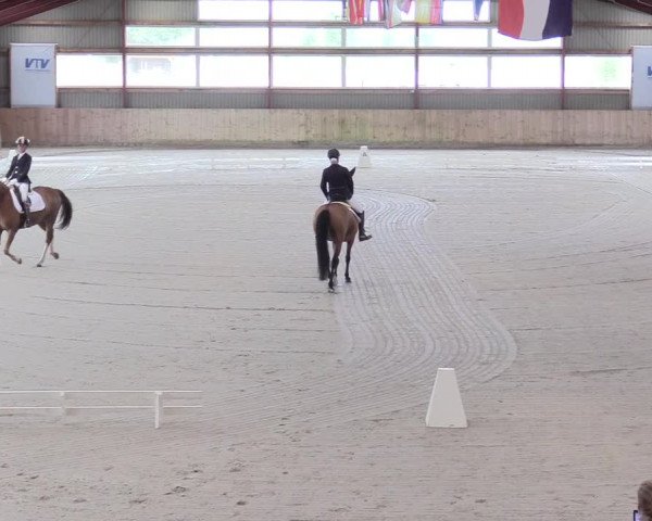 Reitturnier Süderlügum 2021