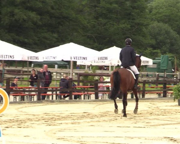 Reitturnier Hemer-Oese an der Edelburg 2021