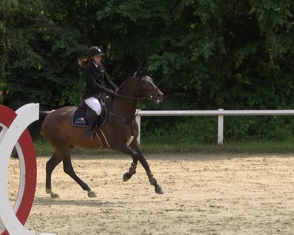 Reitturnier Hünfelden-Kirberg 2021