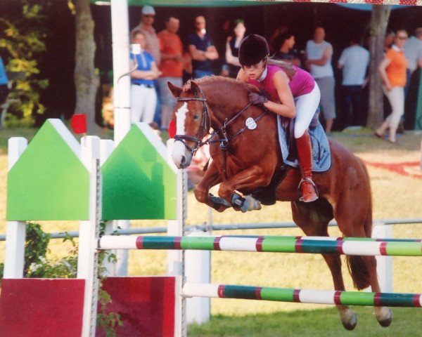 jumper Rigani (Connemara Pony, 2006, from Frederiksminde Hazy Marvel 8 C)