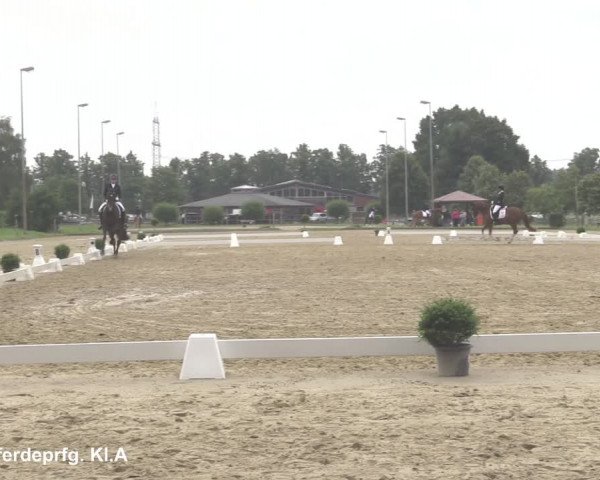 Reitturnier Münster-Roxel 2021