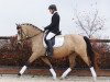 dressage horse Dayla 5 (German Riding Pony, 2010, from Nijdam's Oscar)