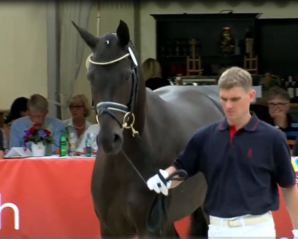 broodmare Egalina de Luxe (Oldenburg, 2010, from San Amour I)