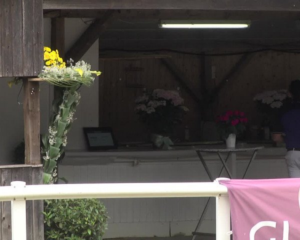 Reitturnier Hünfelden-Kirberg 2021