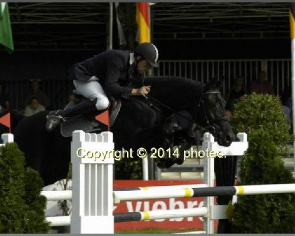 jumper Lucia 167 (Hanoverian, 2001, from Landjonker (Fruhling))