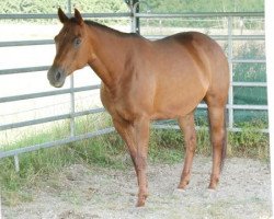 horse Miss Jessie Peppy (Quarter Horse, 2002, from Skeets Peppy)