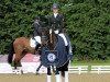 dressage horse Enjoy 70 (Holsteiner, 2003, from Esteban xx)