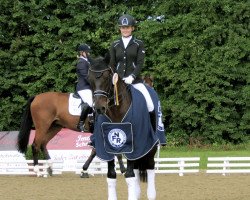 dressage horse Enjoy 70 (Holsteiner, 2003, from Esteban xx)