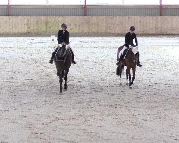 Reitturnier Süderlügum 2021