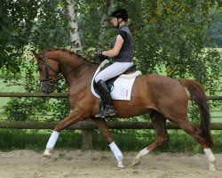 dressage horse For Season (Westphalian, 2010, from Fifty Cent)