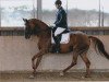 dressage horse Roxana Hit (German Sport Horse, 2009, from Royaldik)