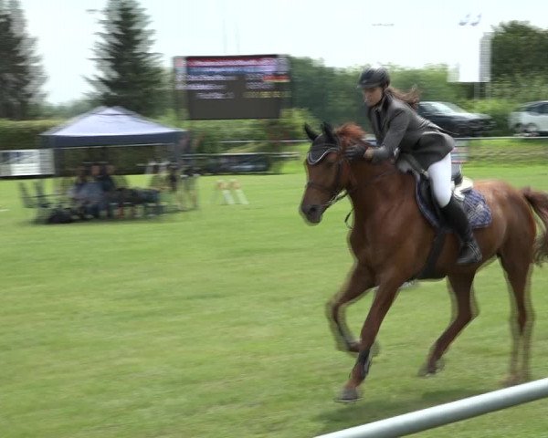 Reitturnier Moringen 2021