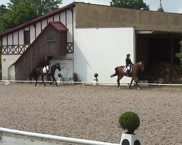 Reitturnier Hof-Haidt 2021