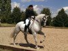 dressage horse Amicelli 67 (Oldenburg show jumper, 2002, from Amman)