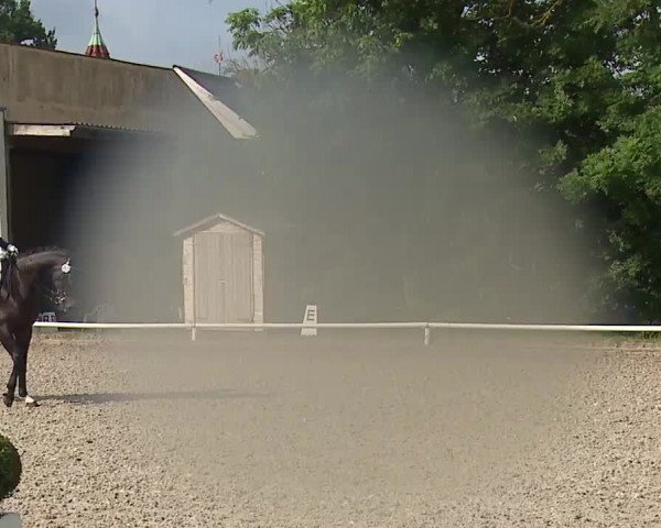 Reitturnier Hof-Haidt 2021