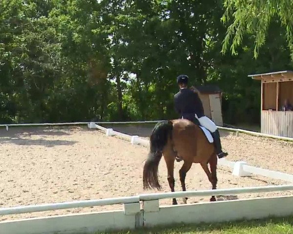 Reitturnier Hof-Haidt 2021