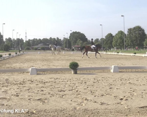 Reitturnier Münster-Roxel 2021
