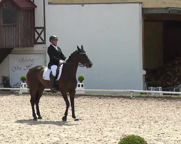 Reitturnier Hof-Haidt 2021