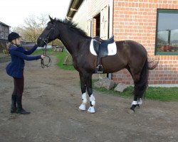 dressage horse Fürst Fernet (Oldenburg, 2007, from Fernet)