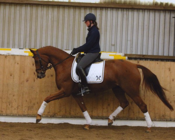 dressage horse Stute von Fürst Rousseau x Latimer (Hanoverian, 2010, from Fuerst Rousseau)