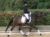 dressage horse Bonomelli (German Riding Pony, 2004, from Boticelli 4)