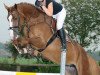 dressage horse Carricos Girl (Oldenburg show jumper, 2009, from Carrico)