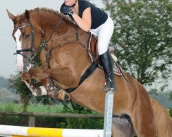 dressage horse Carricos Girl (Oldenburg show jumper, 2009, from Carrico)