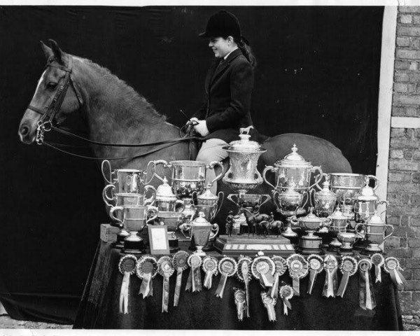 Zuchtstute Pretty Polly (British Riding Pony, 1945, von Naseel ox)