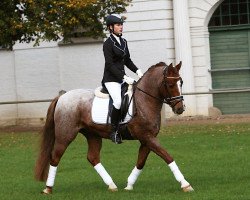 jumper Wesselby vM (German Riding Pony, 2010, from Kooihuster Wessel)