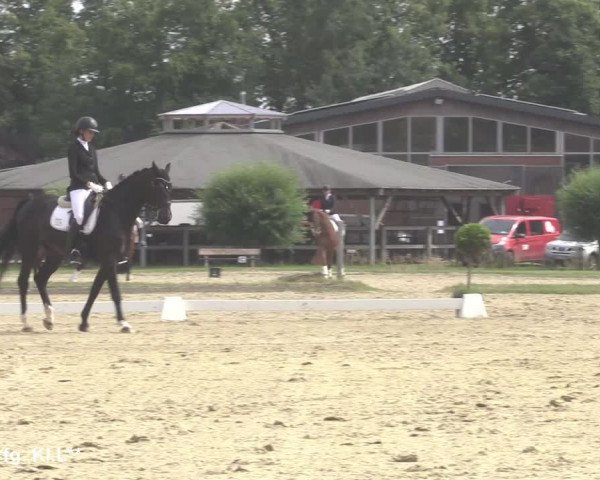 Reitturnier Münster-Roxel 2021