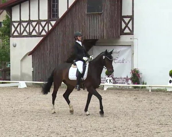 Reitturnier Hof-Haidt 2021