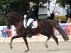 stallion Crown High Society (German Riding Pony, 2001, from Hattrick)