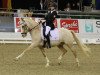 dressage horse Der Clou B (German Riding Pony, 2007, from Golden Dancer)