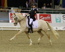 dressage horse Der Clou B (German Riding Pony, 2007, from Golden Dancer)