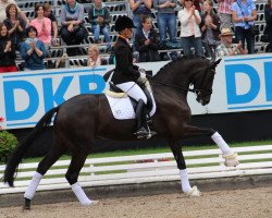 broodmare Soiree d' Amour OLD (Oldenburg, 2009, from San Amour I)