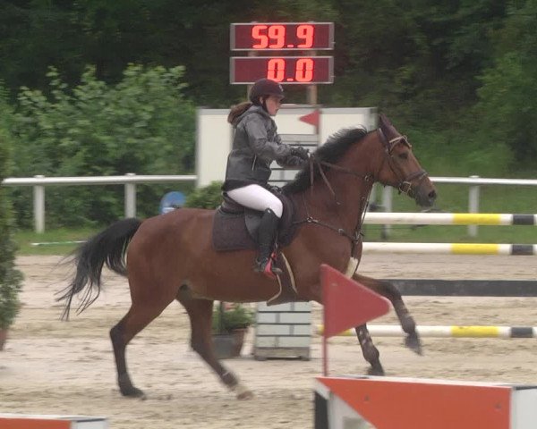 Reitturnier Hünfelden-Kirberg 2021