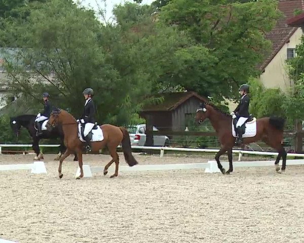 Reitturnier Hof-Haidt 2021