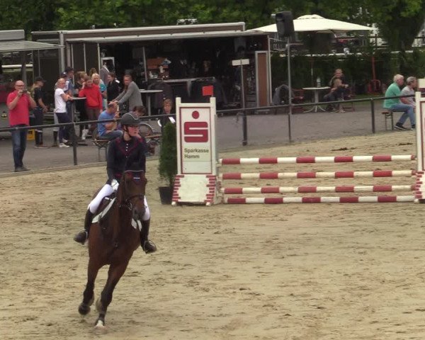 Reitturnier Hamm-Rhynern 2021