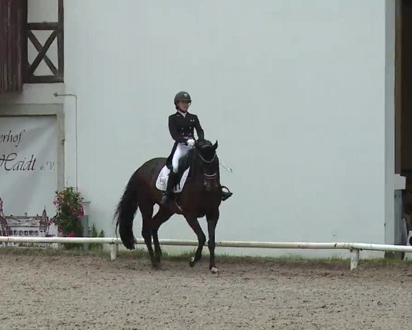 Reitturnier Hof-Haidt 2021