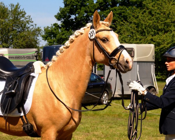 dressage horse Leopold 284 (German Riding Pony, 2010, from Lucky Lao II)