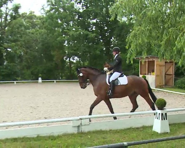 Reitturnier Hof-Haidt 2021