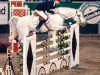Pferd Cavalier (Koninklijk Warmbloed Paardenstamboek Nederland (KWPN), 1984, von Maykel)