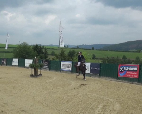 Reitturnier Lindlar-Süttenbach 2021
