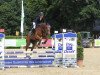 jumper Follow me 66 (Hanoverian, 2016, from For Pleasure)