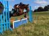 dressage horse Diara (German Riding Pony, 2004, from Heidbergs Nancho Nova)