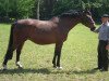 broodmare Frisby I (Holsteiner, 1991, from Lord)