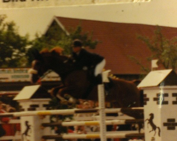 Pferd Fuerst Carlos (Hannoveraner, 1984, von First Gotthard)